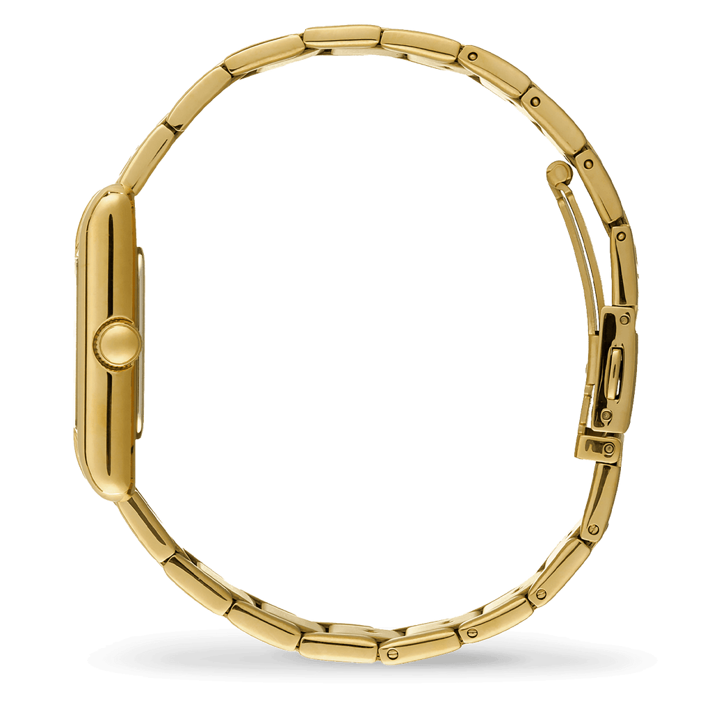 ice-power-pw6-metal-gold-white-23x34mm