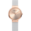 Bering 14531-266