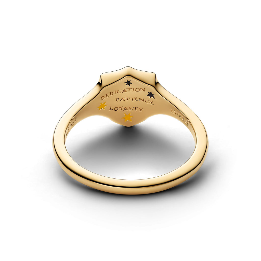 Pandora Harry Potter Bague 165044C01