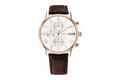 Tommy Hilfiger Kane 1710796