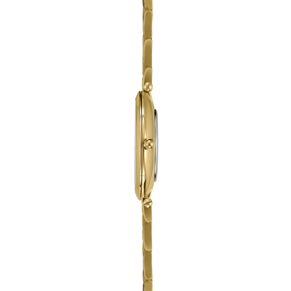 Herbelin Epsilon 17116BP1N19