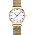 Bering Titanium 18634-334