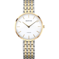 Bering Titanium 19334-010
