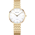 Bering Titanium 19334-334