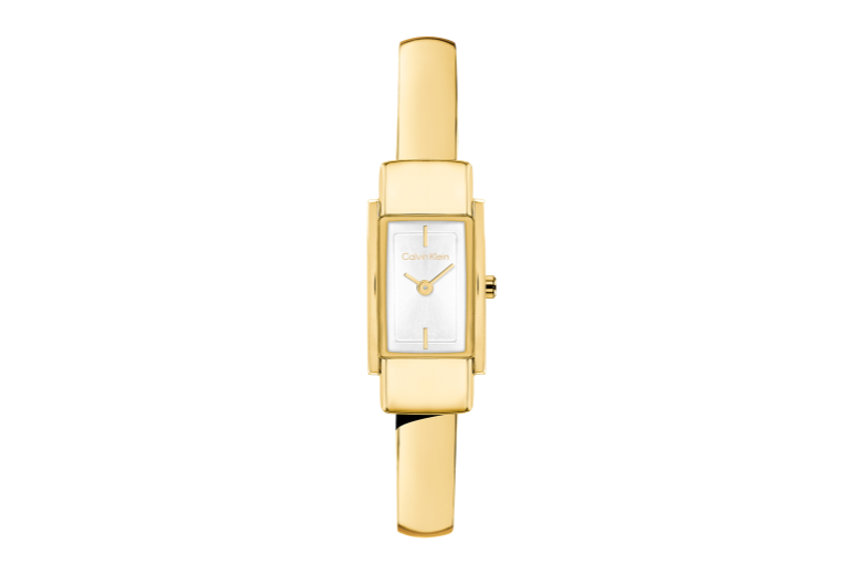 Calvin Klein Moderne 25100184