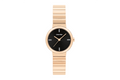 Calvin Klein Ck Precise 25200417