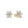 Pandora Timeless Clous d’Oreilles Herbier Scintillant 262633C01