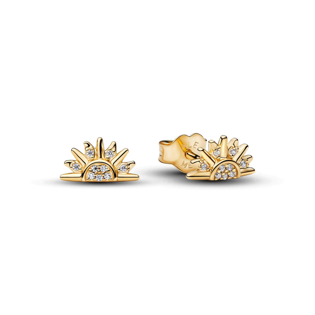 Pandora Moments Clous d'oreilles 264627C01