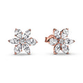 Pandora Timeless Clous d'Oreilles Herbier Scintillant 282407C01