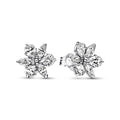 Pandora Timeless Clous d'Oreilles Herbier Scintillant 292633C01