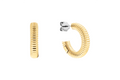 Calvin Klein Earrings 35000032
