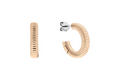 Calvin Klein Earrings 35000033