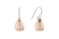 Calvin Klein Earrings 35000075