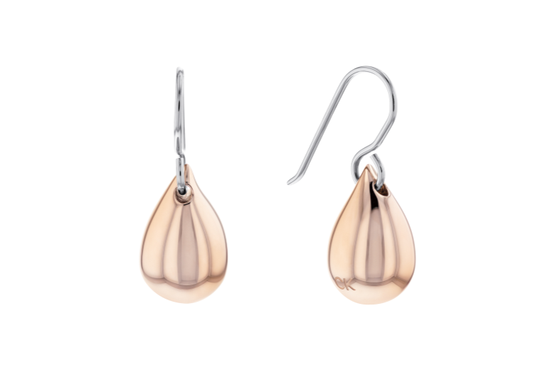 Calvin Klein Earrings 35000075