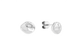 Calvin Klein Earrings 35000116