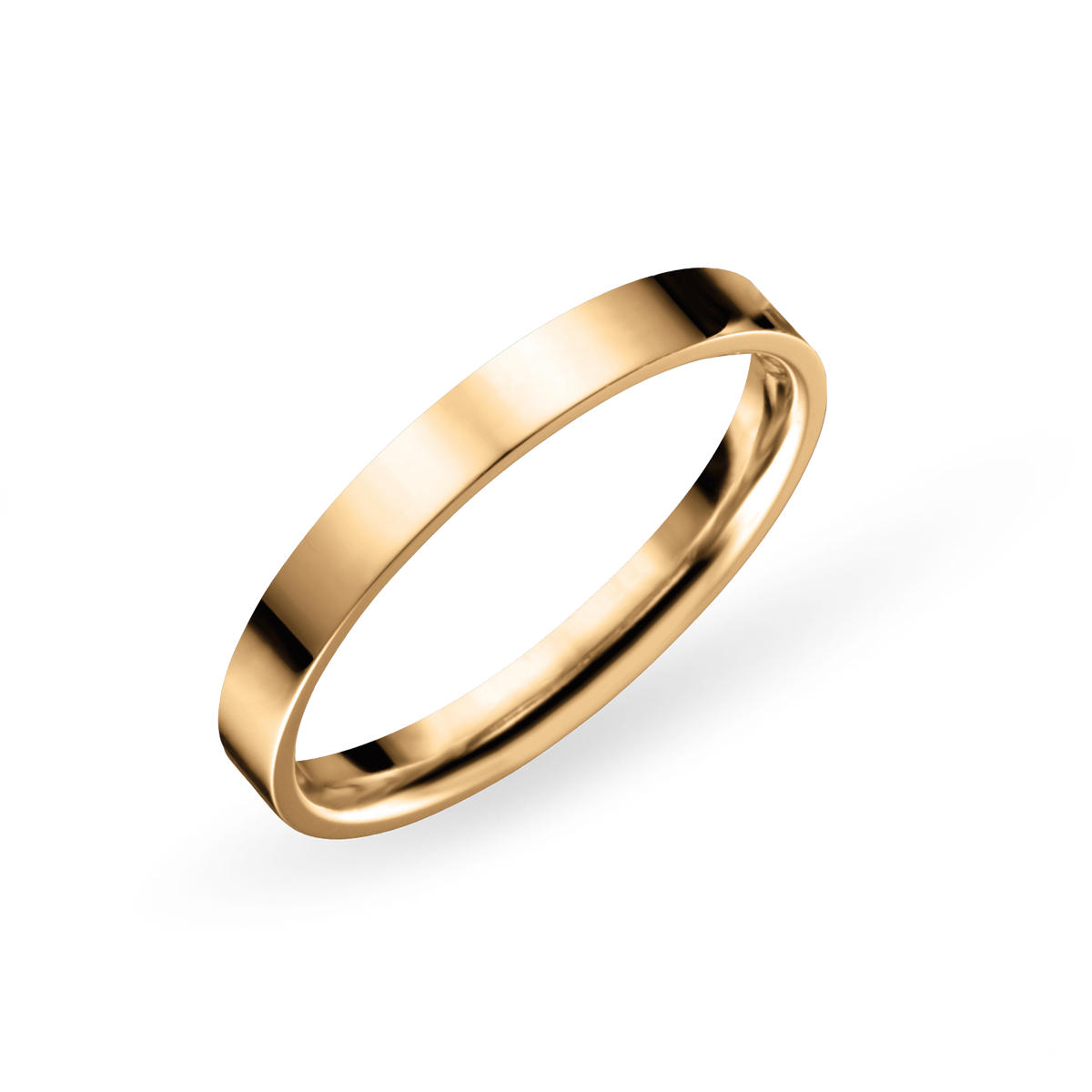 Bering Bague intérieure Arctic Symphony 554-20-X1