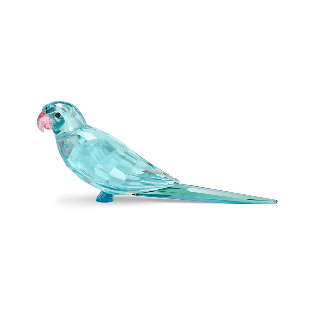 Swarovski Jungle Beats Perruche Ondulée Paco oiseau Bleu 5574519
