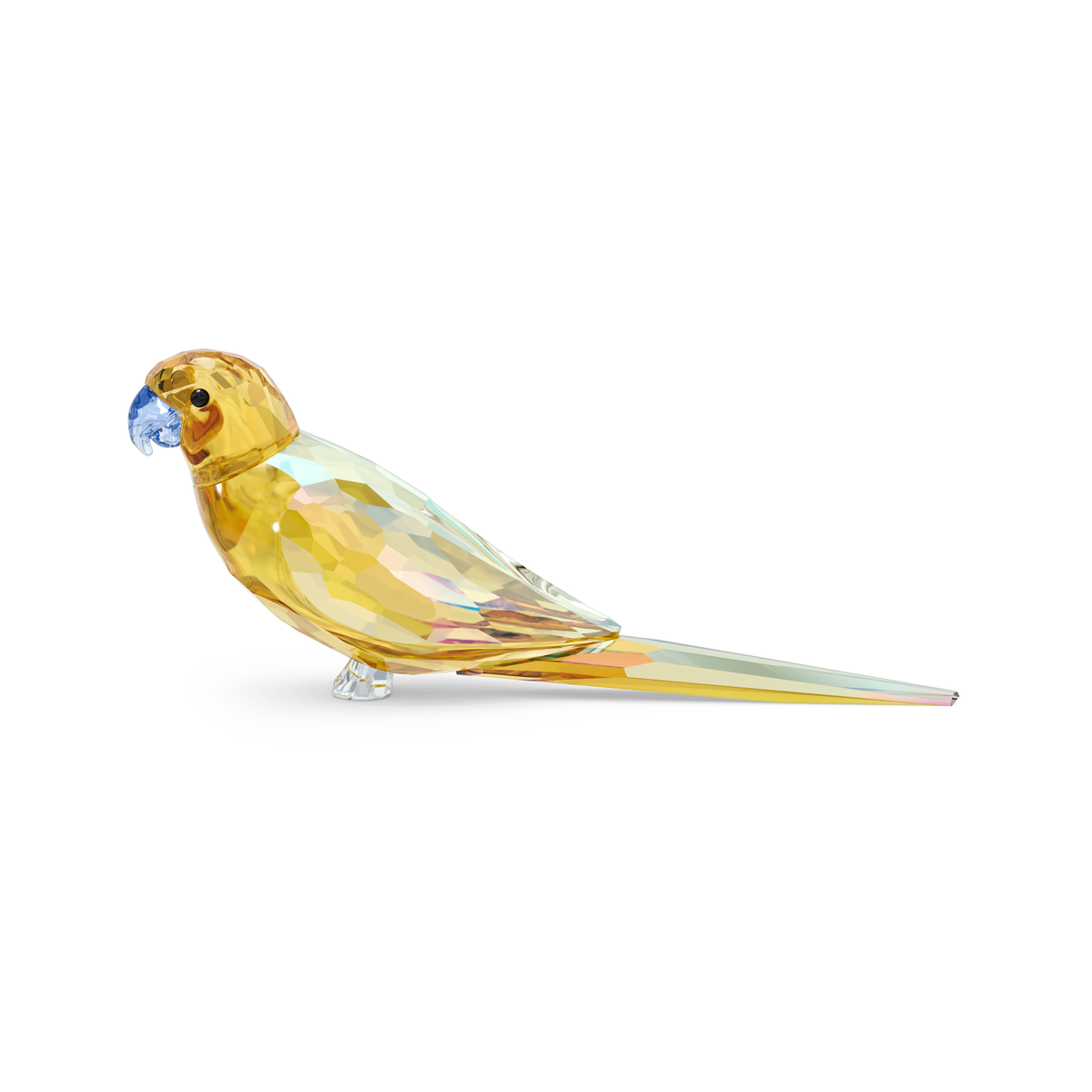 Swarovski Jungle Beats Perruche Jaune Lechee Animal 5619217