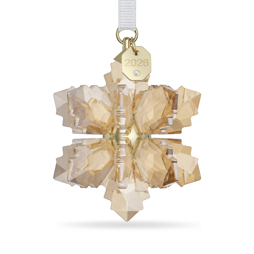 Swarovski Annual Edition Décoration 3D Festive 2026 Flocon de neige 5731942