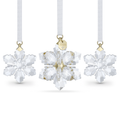 Swarovski Annual Edition Set de Décorations 3D 2026 Flocon de neige 5731943