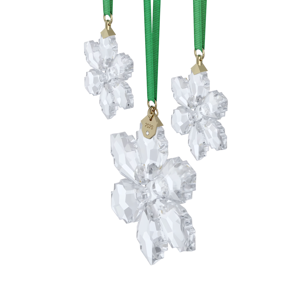 Swarovski Annual Edition Set de Décorations 2026 Flocon de neige Blanc 5732527