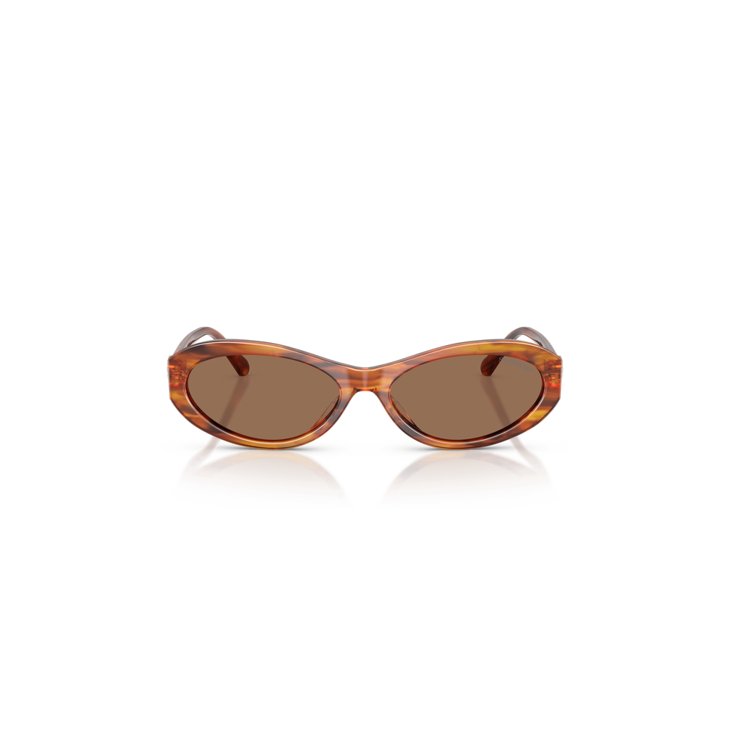 Swarovski Lunettes de soleil Marron 5767686