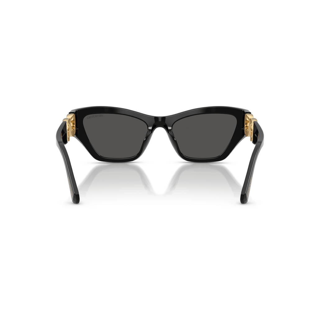 Swarovski Lunettes de soleil Noir 5767700