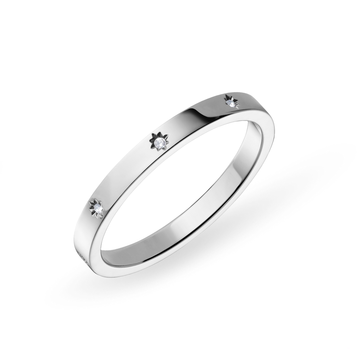 Bering Bague intérieure Arctic Symphony 590-17-X1