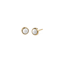 Bering Puces d'oreilles Ceramic 701-25-05