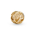 Pandora Moments Charm Racines Familiales Ajouré 759132C00