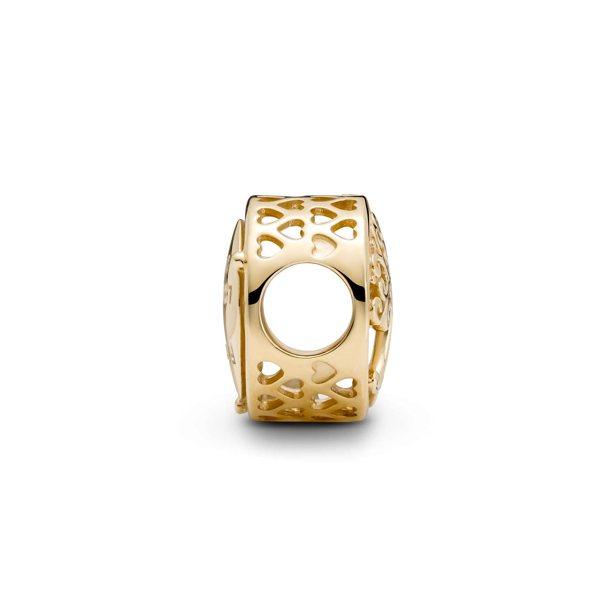 Pandora Moments Charm Racines Familiales Ajouré 759132C00