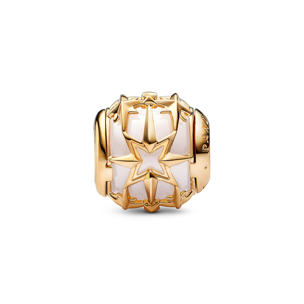 Pandora Moments Charm 762435C01