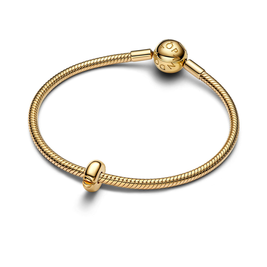 Pandora Moments Charm Clip Rond 763678C00