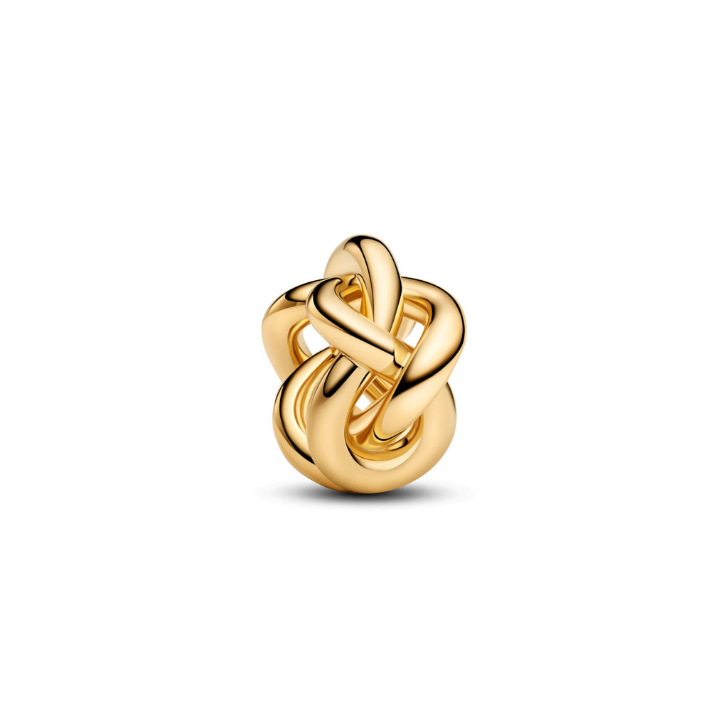 Pandora Moments Charm Nœud de l'Infini 763755C00