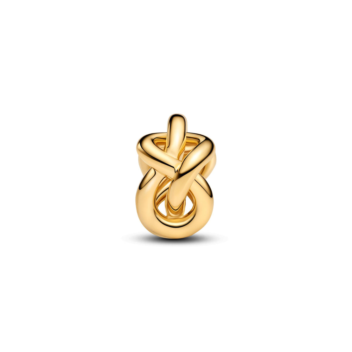 Pandora Moments Charm Nœud de l'Infini 763755C00