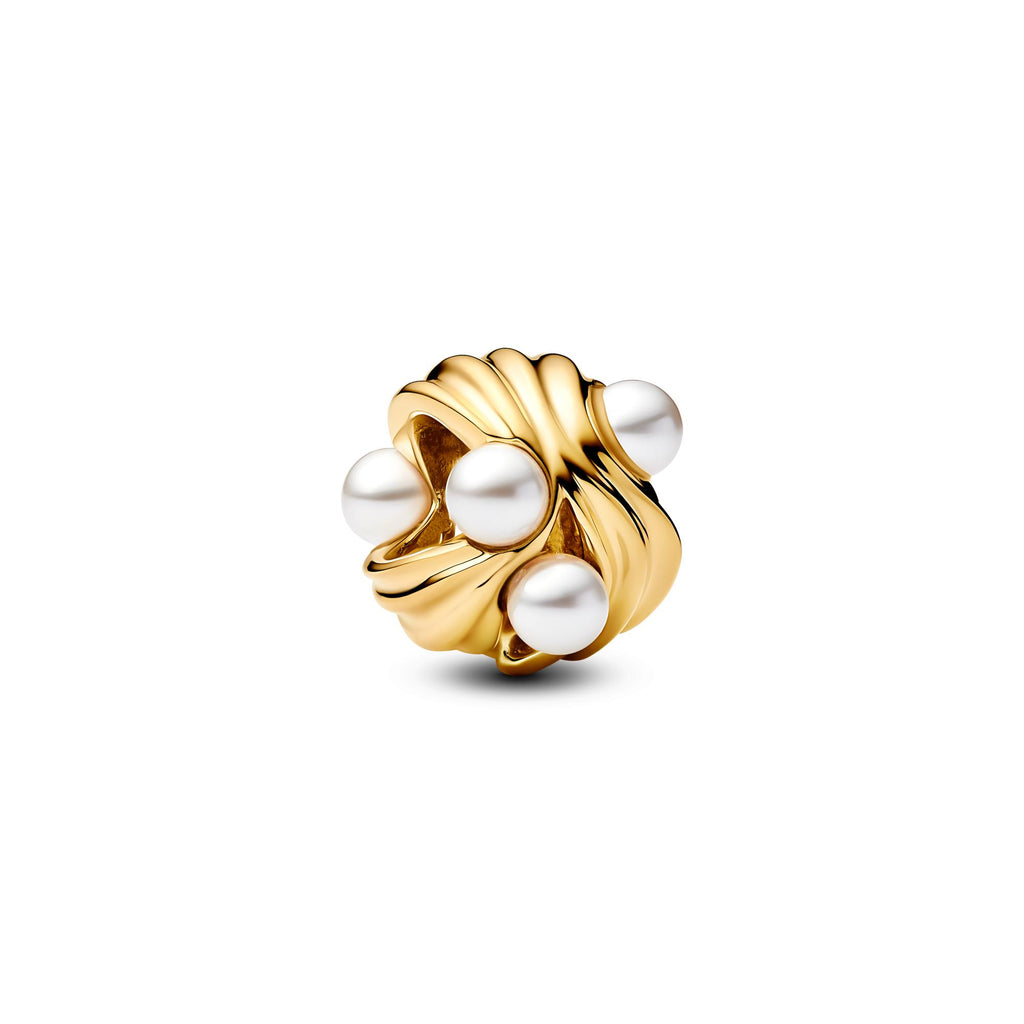 Pandora Moments Charm Vagues Abstraites 763915C01