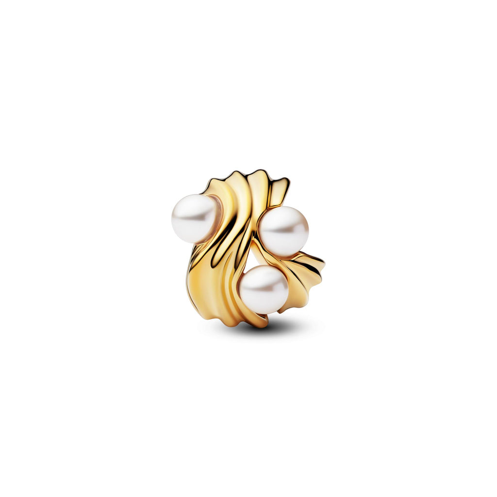 Pandora Moments Charm Vagues Abstraites 763915C01