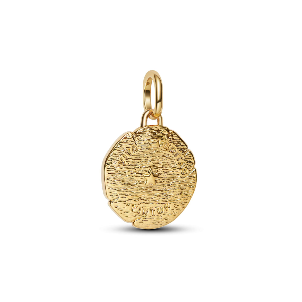 Pandora ME Charm Médaillon Lion 763974C01