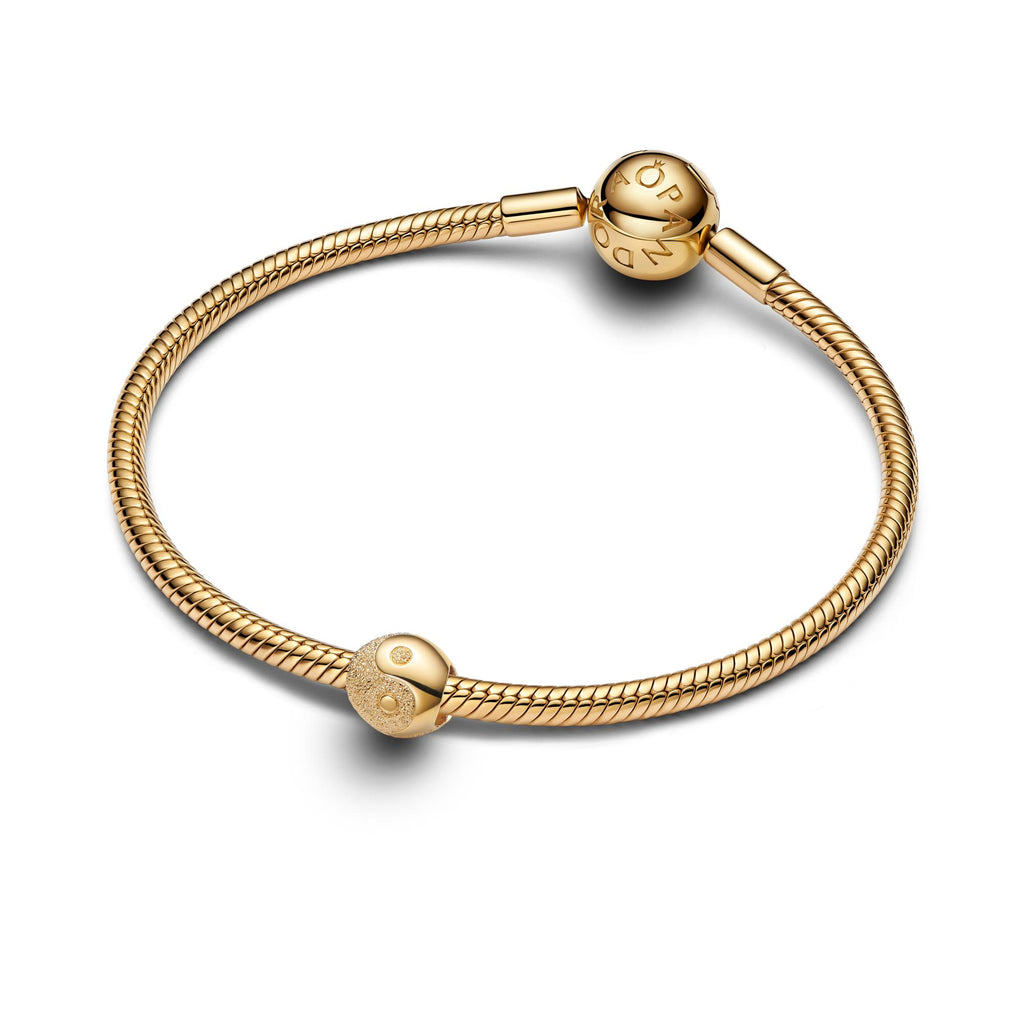 Pandora Moments Mini Charm Yin et Yang Texturé 764045C00