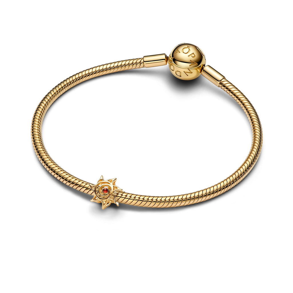 Pandora Moments Charm 764625C01