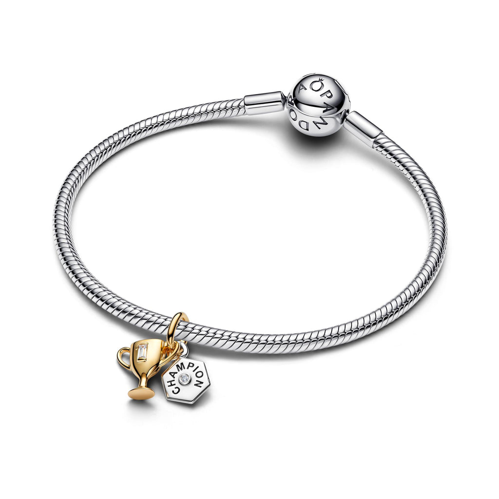 Pandora Moments Charm pendant 764715C01