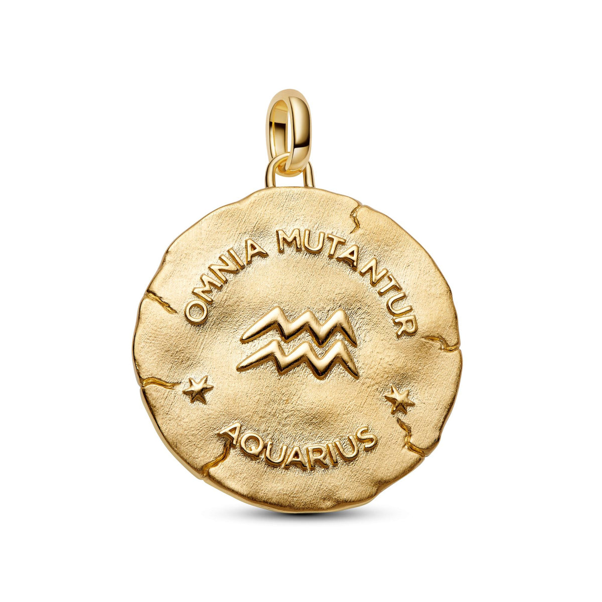 Pandora ME Charm Médaillon XL Zodiaque Verseau 765004C01