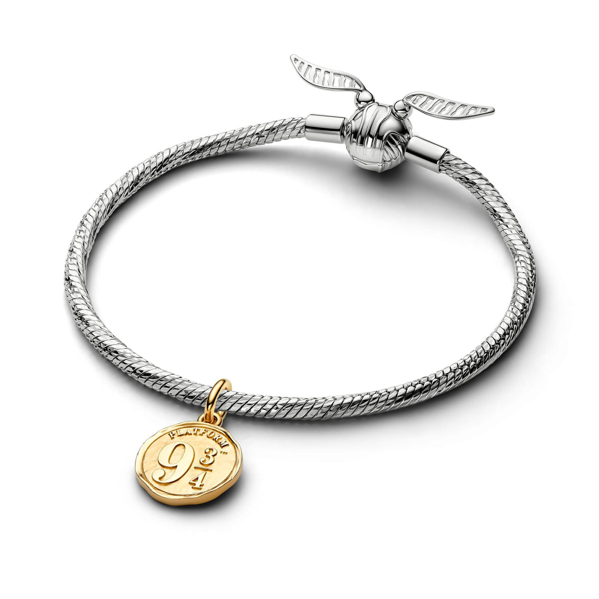 Pandora Harry Potter Médaillon 765011C01