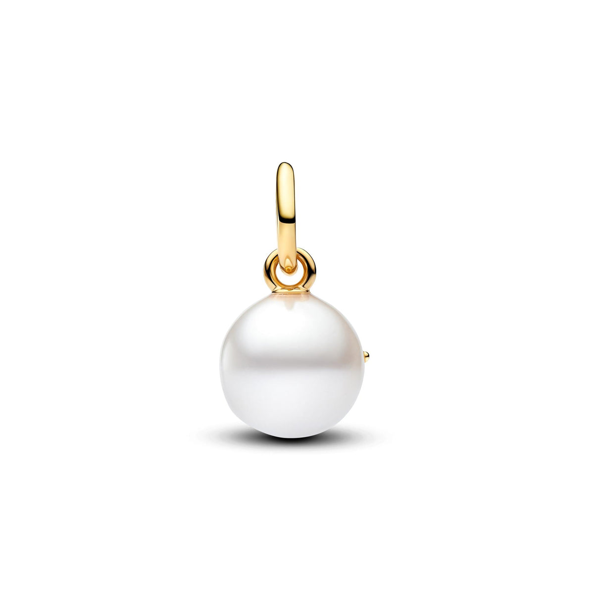 Pandora Harry Potter Charm pendant 765014C01