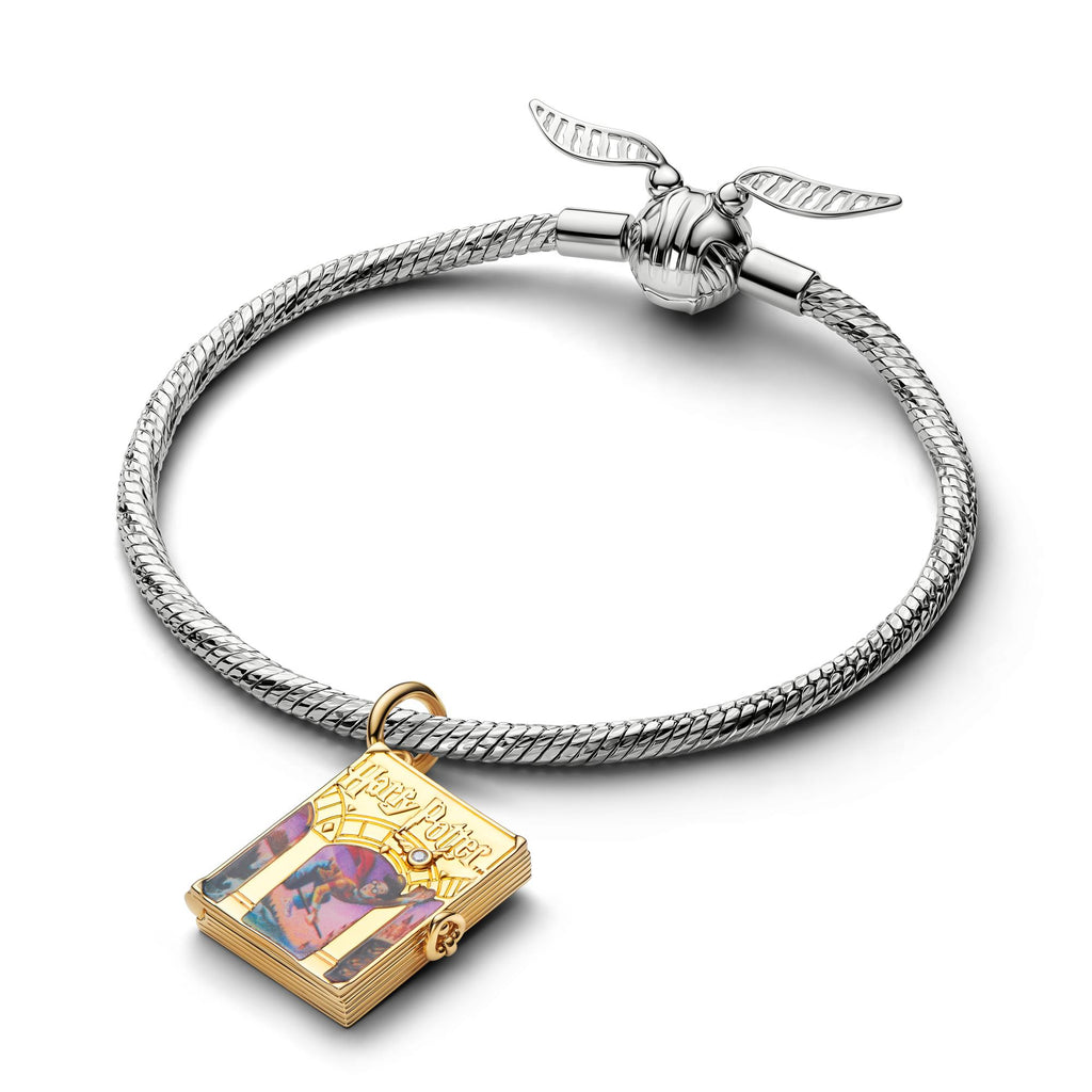 Pandora Harry Potter Charm pendant 765018C01