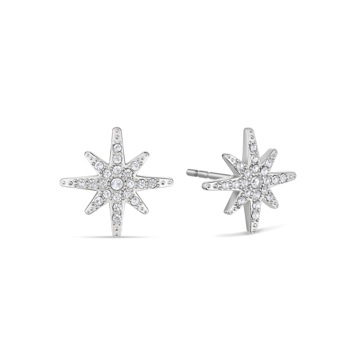 Bering Puces d'oreilles Arctic Pavé 776-17-05