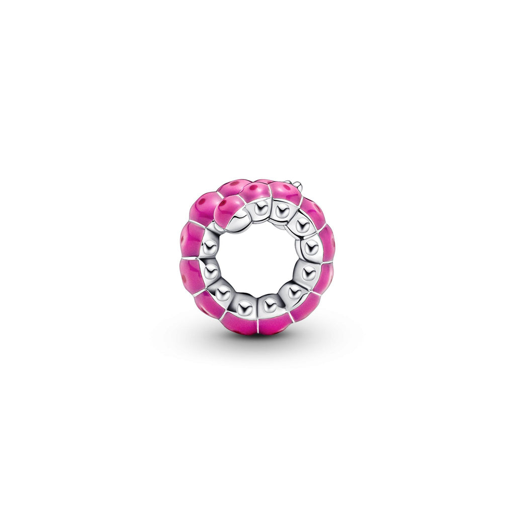 Pandora Moments Charm Adorable Chenille Enroulée 790762C01
