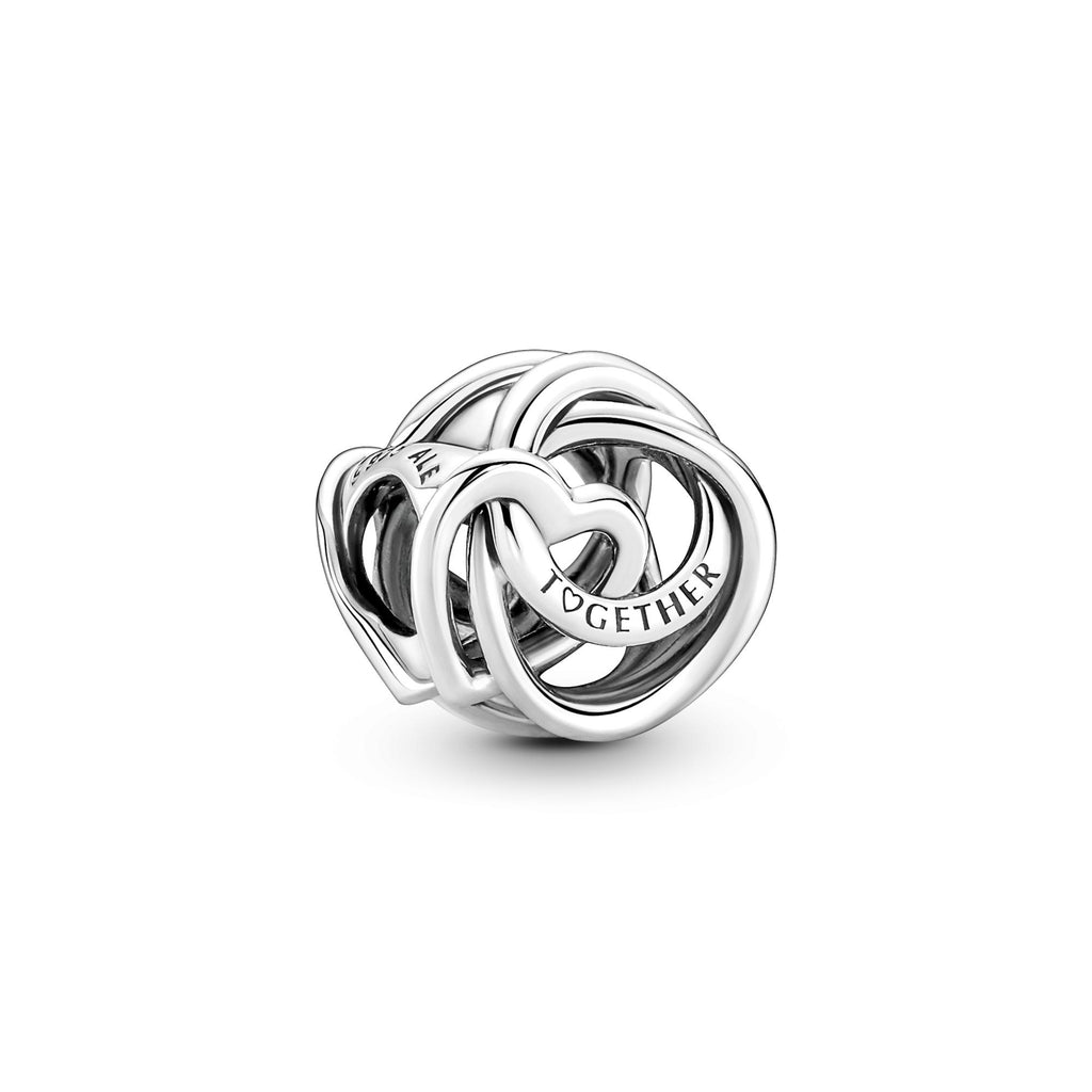 Pandora Moments Charm Cœur et Cercles Ma Famille Pour Toujours 791507C00
