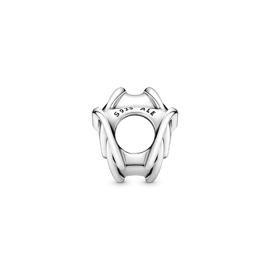Pandora Moments Charm Cœur et Cercles Ma Famille Pour Toujours 791507C00
