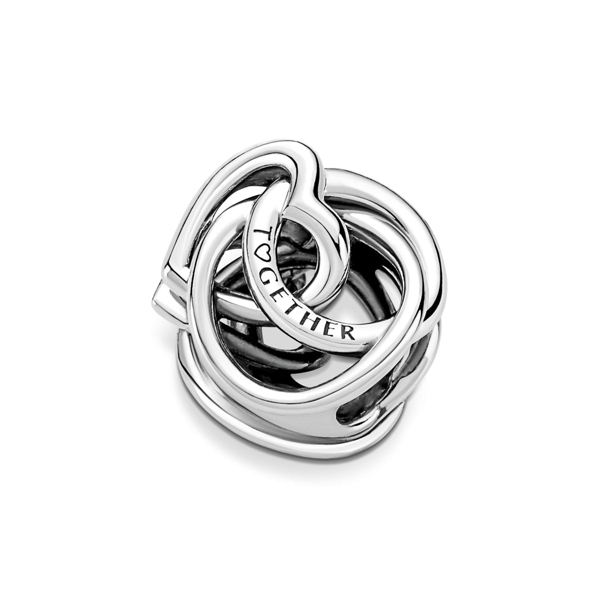 Pandora Moments Charm Cœur et Cercles Ma Famille Pour Toujours 791507C00